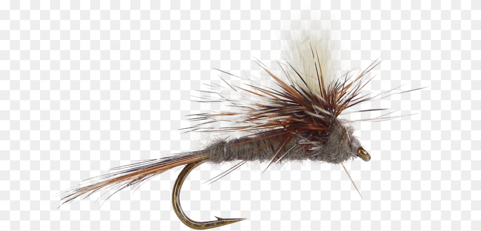 Adams Parachute Fly Mayfly Pattern For Trout Adams Fly Fishing, Animal, Bird Free Transparent Png