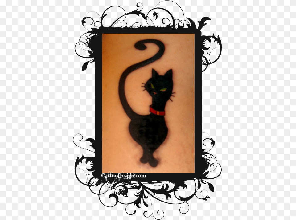Add A Gold Angel Crown With Maybe Wings Tattoo Chesire Cat Smile, Animal, Mammal, Person, Pet Free Transparent Png