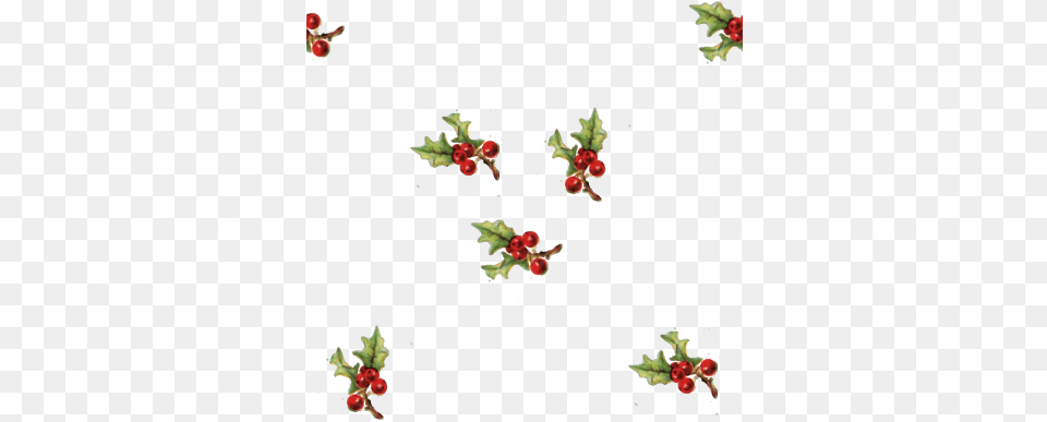 Add A Of Holly With Berries And A Seamless Tile Too Holly Sprig Clip Art, Pattern, Graphics, Floral Design, Food Png