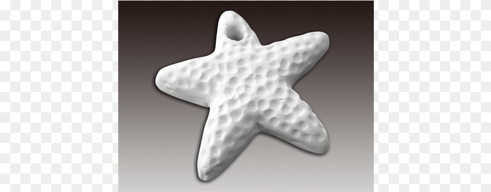 Add Ons Starfish Bead20 Spo Starfish, Pottery, Symbol Free Transparent Png