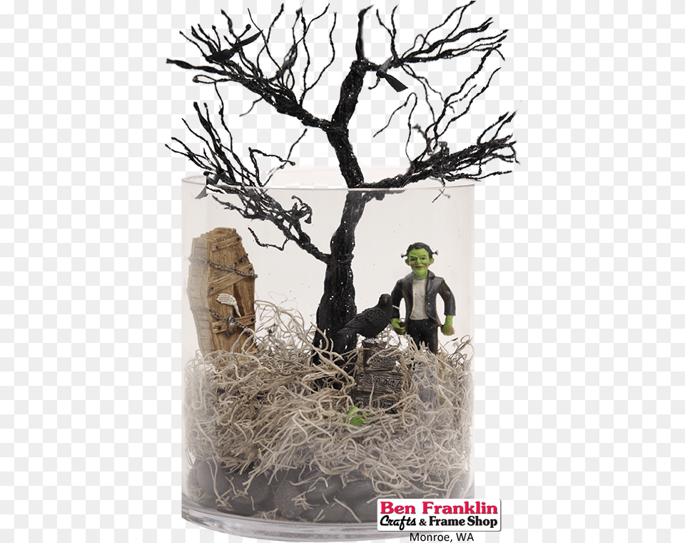 Add River Rocks Then A Layer Of Spanish Moss And Finish Animal, Wood, Person, Male, Child Free Png