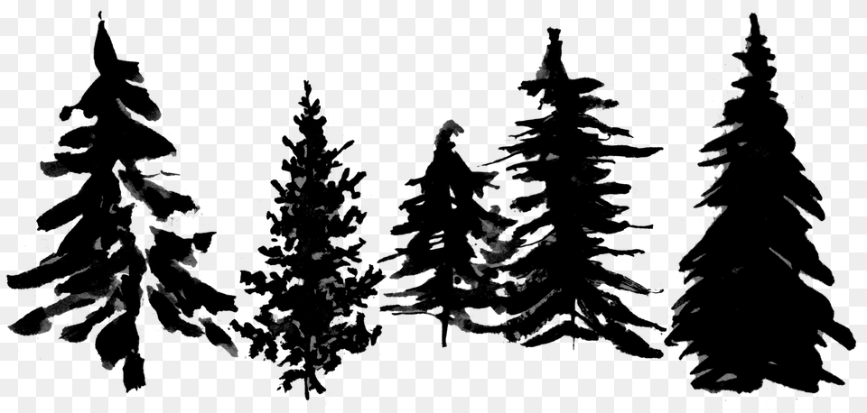 Add The Tree Line By Uploading Your Own Image Christmas Tree, Plant, Fir, Person Free Transparent Png
