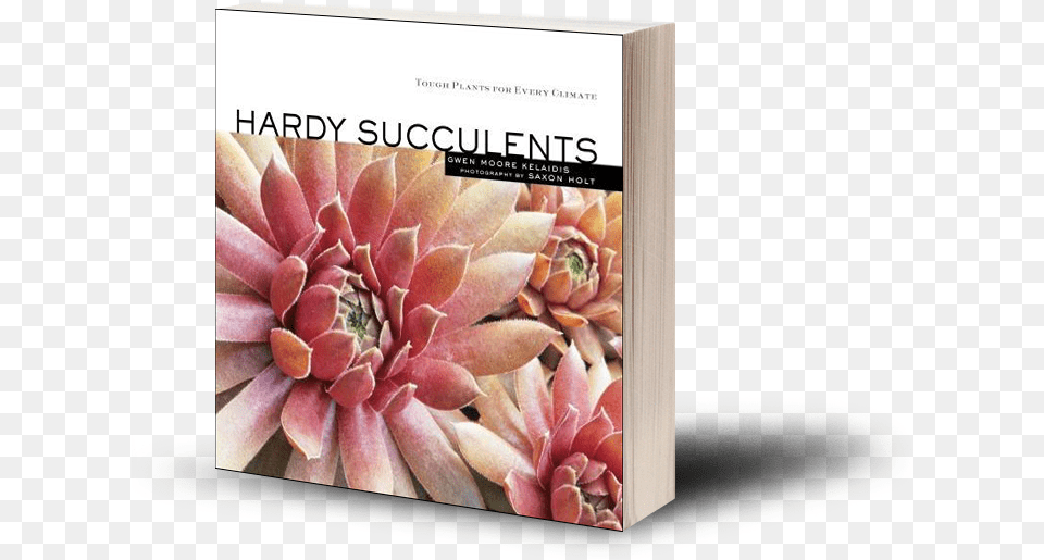 Add To Cart Hardy Succulents Tough Plants For Every Climate, Book, Plant, Publication, Flower Free Png