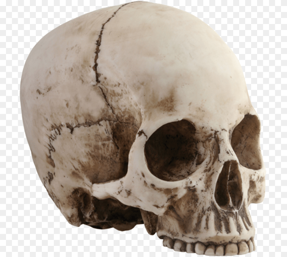 Added By Nousernameisleft At You In 3 Years Ytc Summit 8035 Skull Head C, Person Png