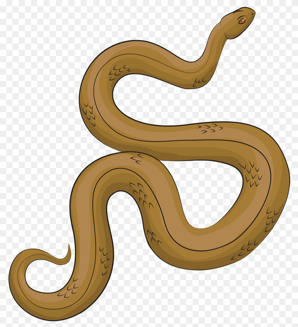 Adder Snake Clipart, Animal, Reptile Png