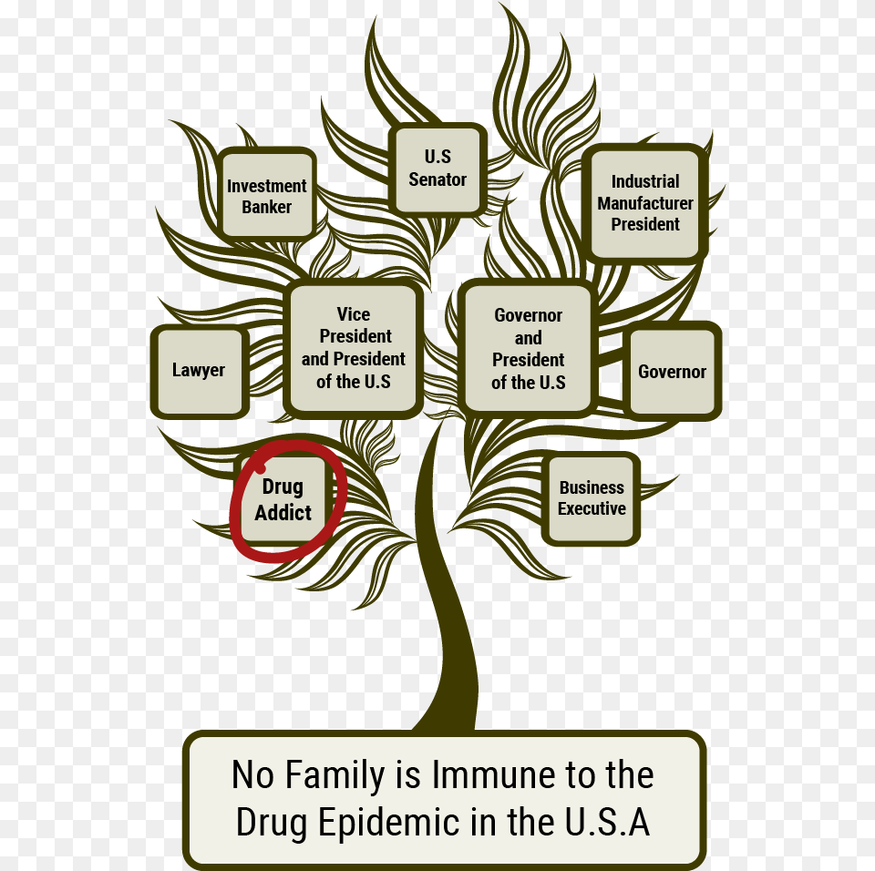 Addiction Crosses All Barriers All Lines All Races Drug Addict Family Tree, Plant, Vegetation, Book, Publication Free Transparent Png