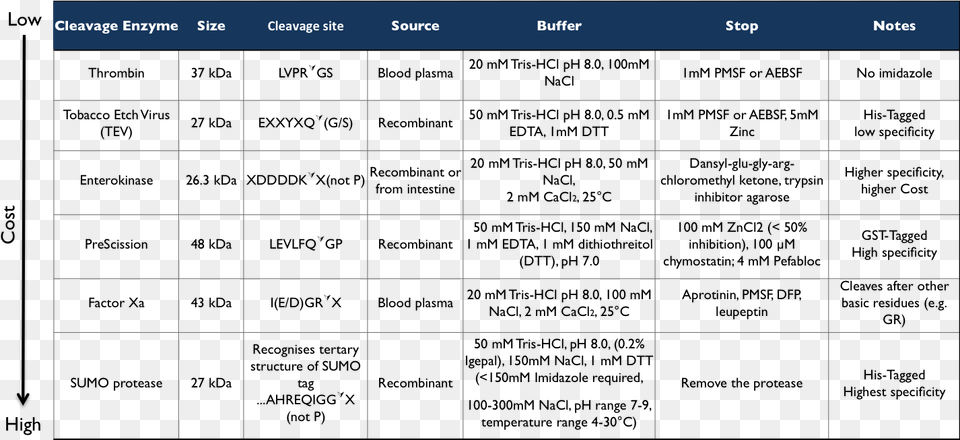 Additional Cleavage Enzymes, Text Png Image