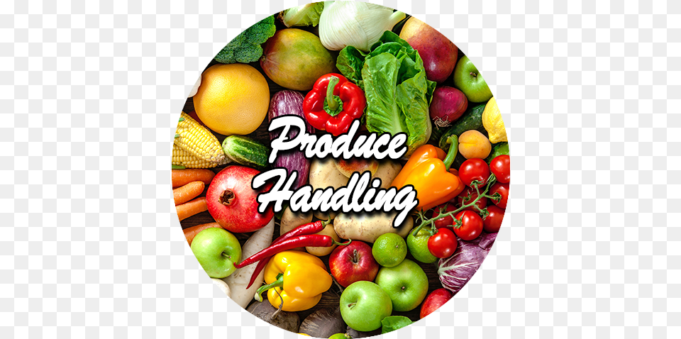 Additionalresources Icon Produce Handling, Apple, Citrus Fruit, Food, Fruit Free Transparent Png