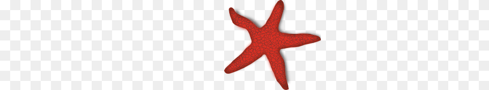 Addon Red Starfish Clip Art, Animal, Appliance, Blow Dryer, Device Free Transparent Png