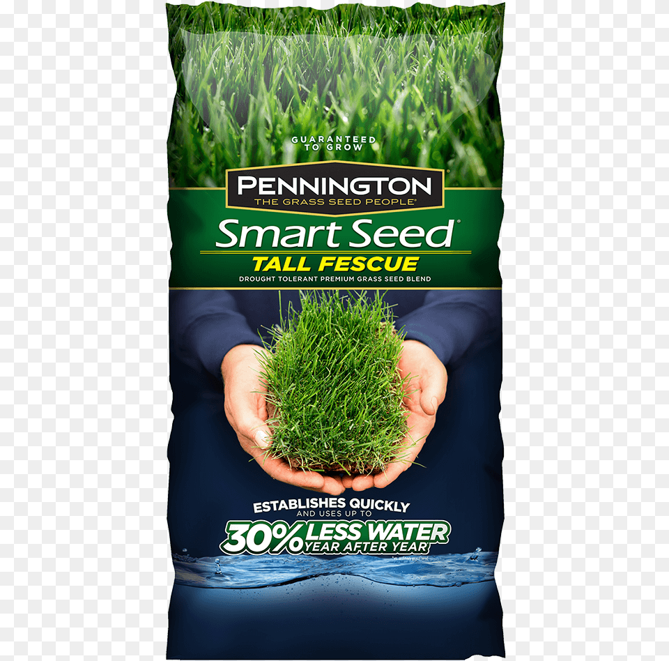 Addthis Sharing Buttons Pennington 3 Lb Tall Fescue Shade Grass Seed Pc Mix, Advertisement, Food, Plant, Poster Png