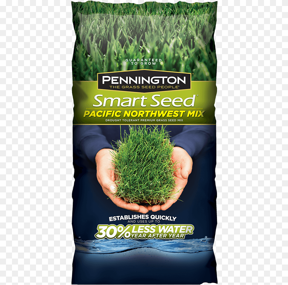 Addthis Sharing Buttons Pennington 3 Lb Tall Fescue Shade Grass Seed Pc Mix, Advertisement, Poster, Plant, Seasoning Free Png Download