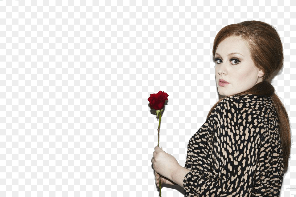 Adele Hd, Adult, Rose, Portrait, Plant Free Png Download