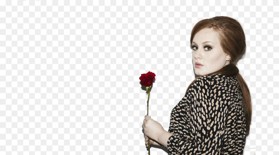 Adele Hd All Girls Hd, Adult, Rose, Portrait, Plant Free Png Download