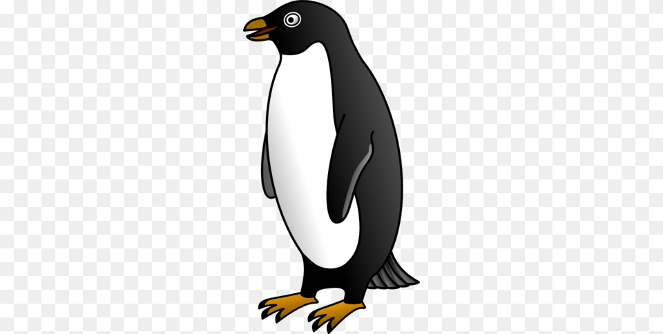 Adelie Penguin Clipart, Animal, Bird, King Penguin Png