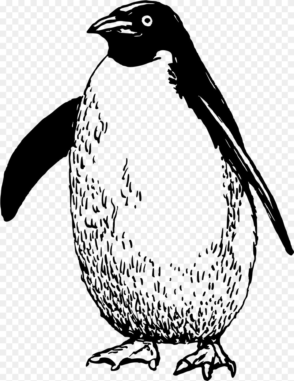 Adelie Penguin Clipart Clipart Transparent Penguin Line Art, Gray Free Png Download