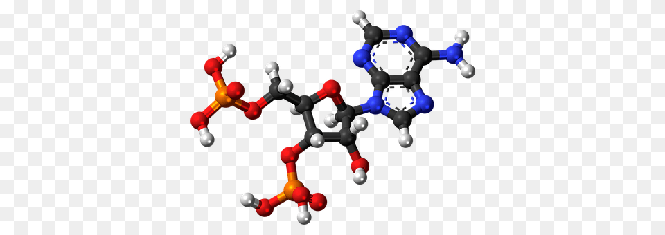 Adenosine Biphosphate Accessories, Bead Free Png