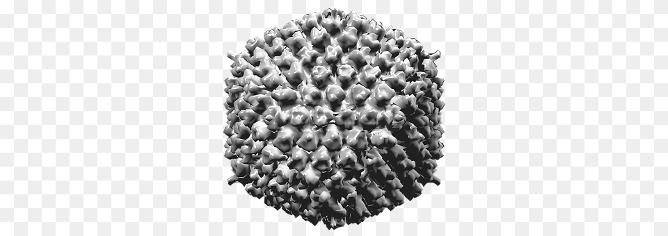 Adenovirus Type 5 Sphere, Chandelier, Lamp, Accessories Free Png