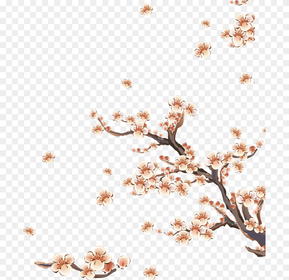 Adesivo Rvore Oriental, Flower, Plant, Cherry Blossom, Accessories Free Transparent Png