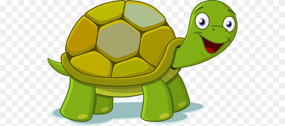 Adhd Tips Persistence Focus Adhd, Animal, Reptile, Sea Life, Tortoise Png Image