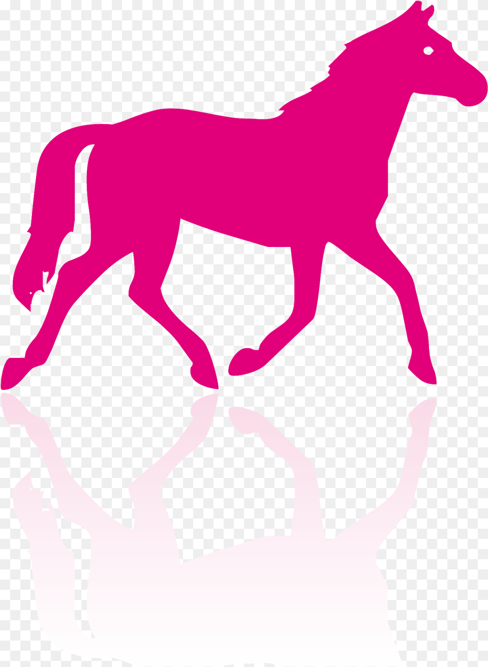 Adiavet Equine Horse Silhouette, Animal, Colt Horse, Mammal, Person Png Image
