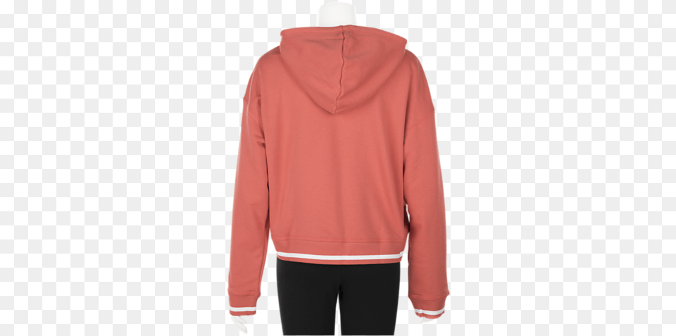 Adidas Active Icons Hoodie Off 53 Hooded, Clothing, Knitwear, Sweater, Sweatshirt Free Png