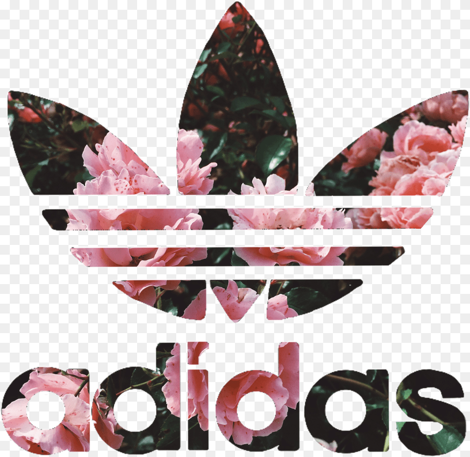 Adidas Adidas Floral Collection Flower Adidas Adidas Logo With Flowers, Plant, Petal, Accessories, Leaf Free Transparent Png