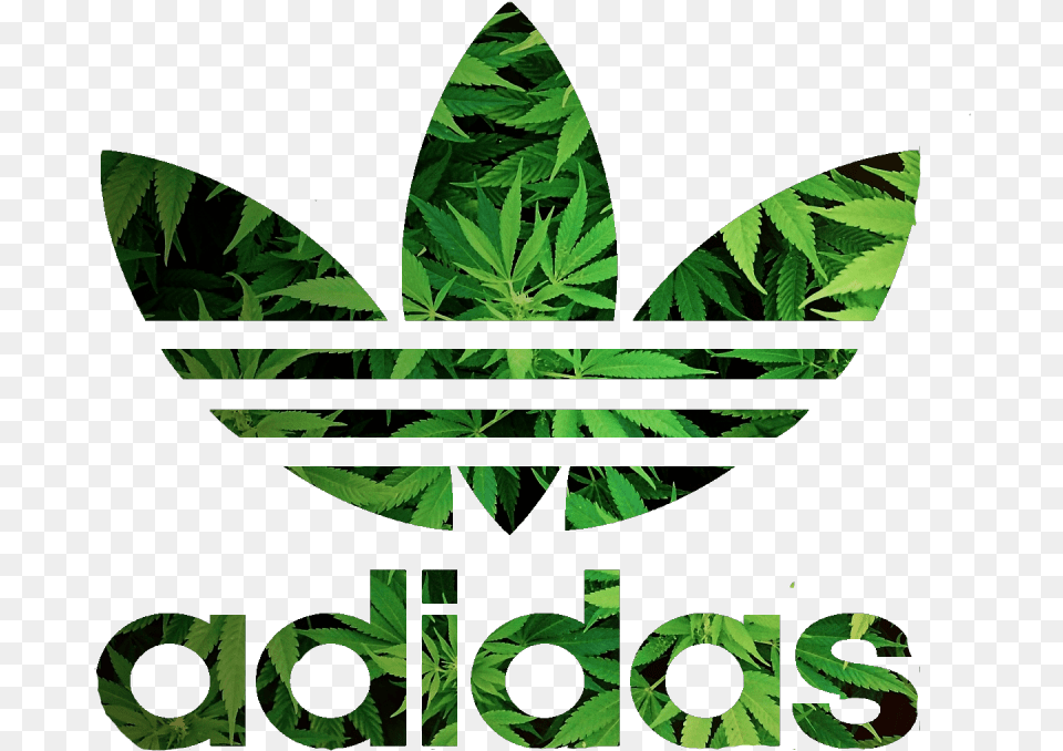 Adidas Logo For Dls Off Roblox T Shirt, Green, Leaf, Plant, Vegetation Png