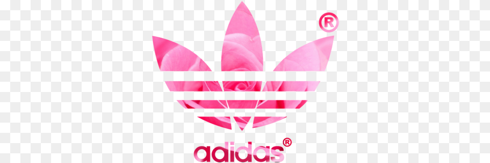 Adidas Logo Picture Adidas Background, Advertisement, Flower, Petal, Plant Png Image