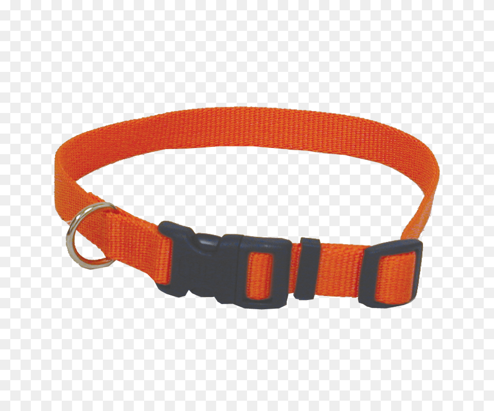 Adjustable Dog Collar, Accessories, Belt Free Transparent Png