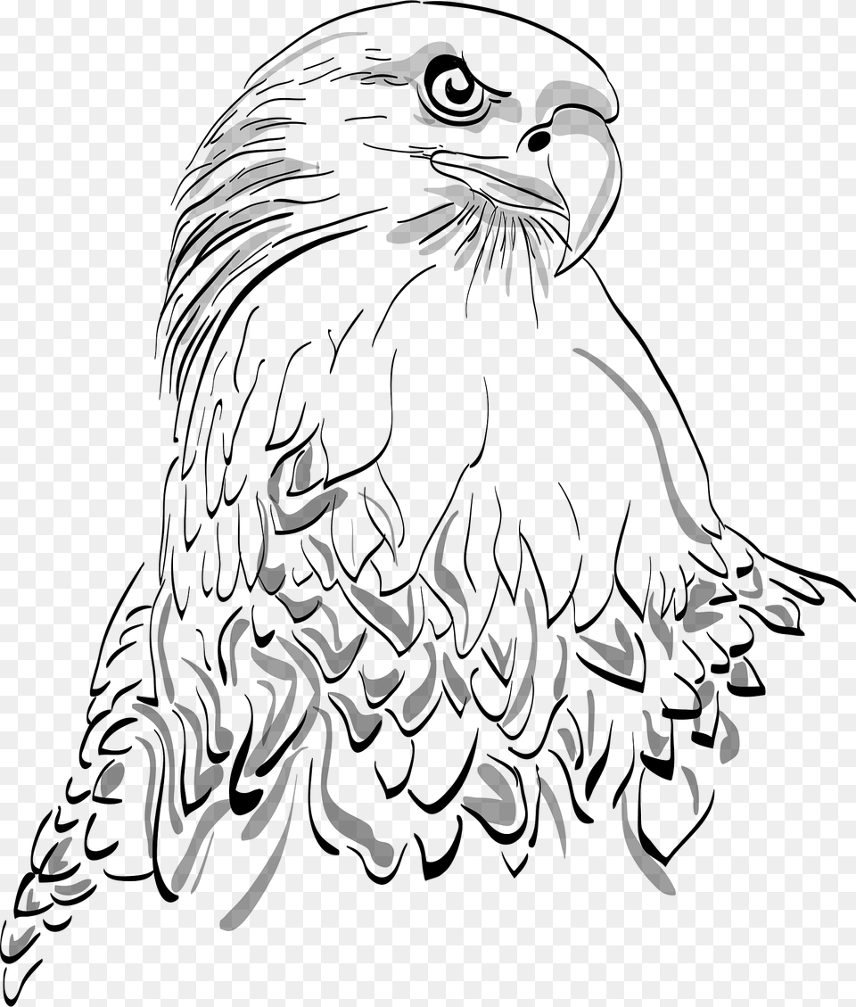 Adler Clipart, Animal, Bird, Eagle, Person Png