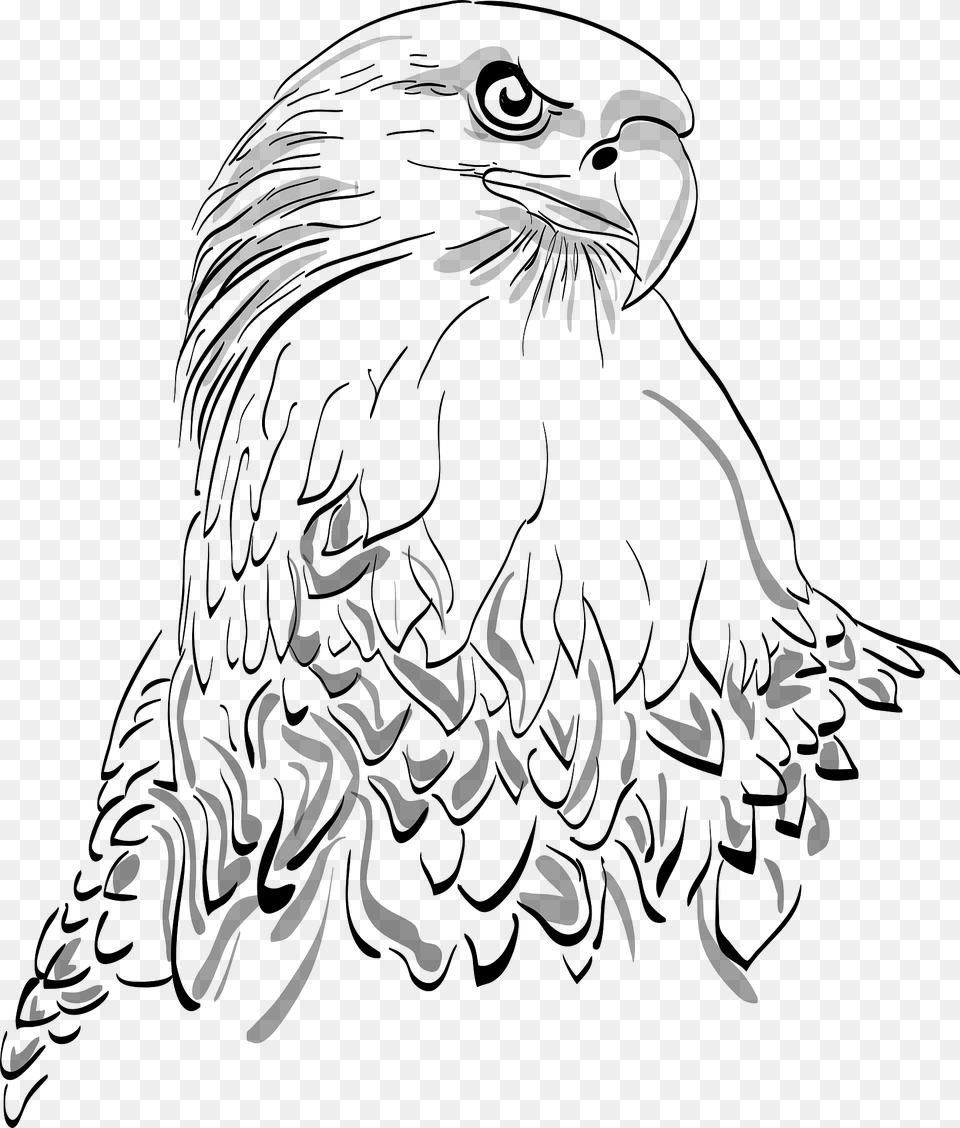 Adler Clipart, Animal, Bird, Eagle, Person Free Transparent Png