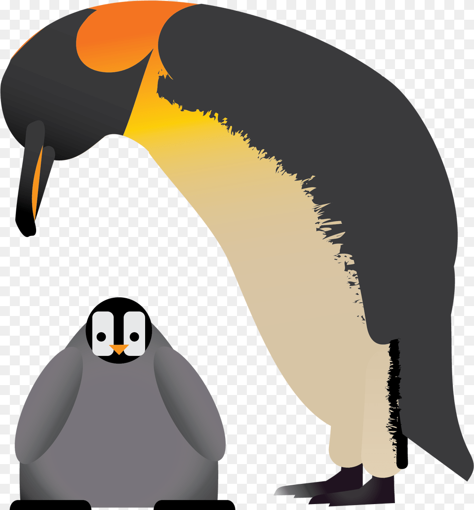Adlie Penguin, Animal, Bird, King Penguin, Person Free Png Download
