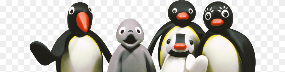 Adlie Penguin, Animal, Bird Free Png Download