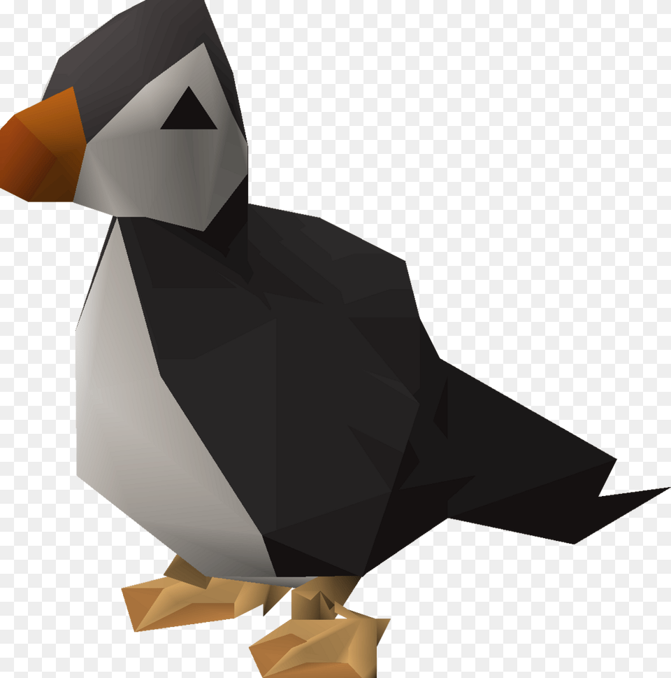 Adlie Penguin, Animal, Bird, Puffin, Person Png