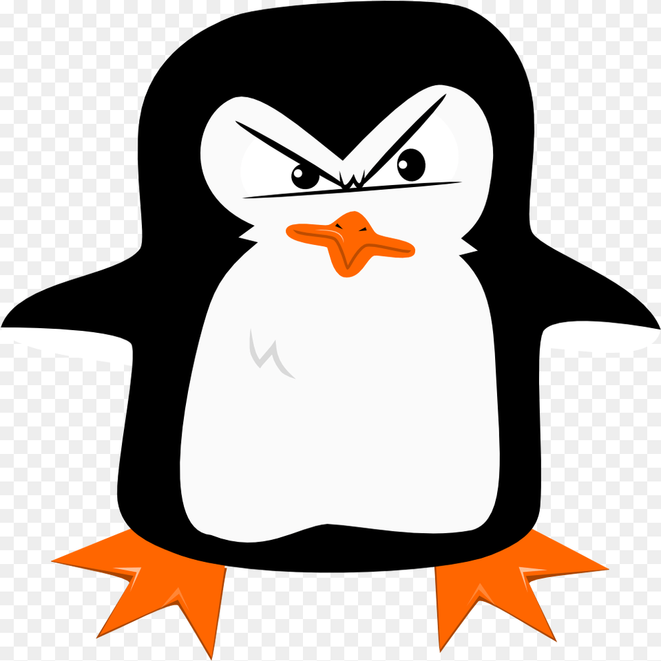 Adlie Penguin, Animal, Beak, Bird Png Image