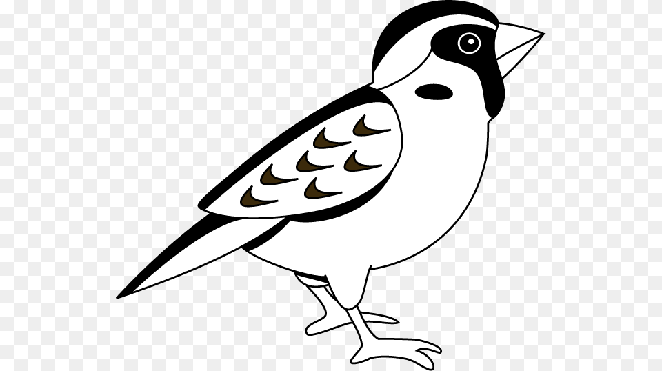 Admin Author, Stencil, Animal, Bird, Finch Png Image