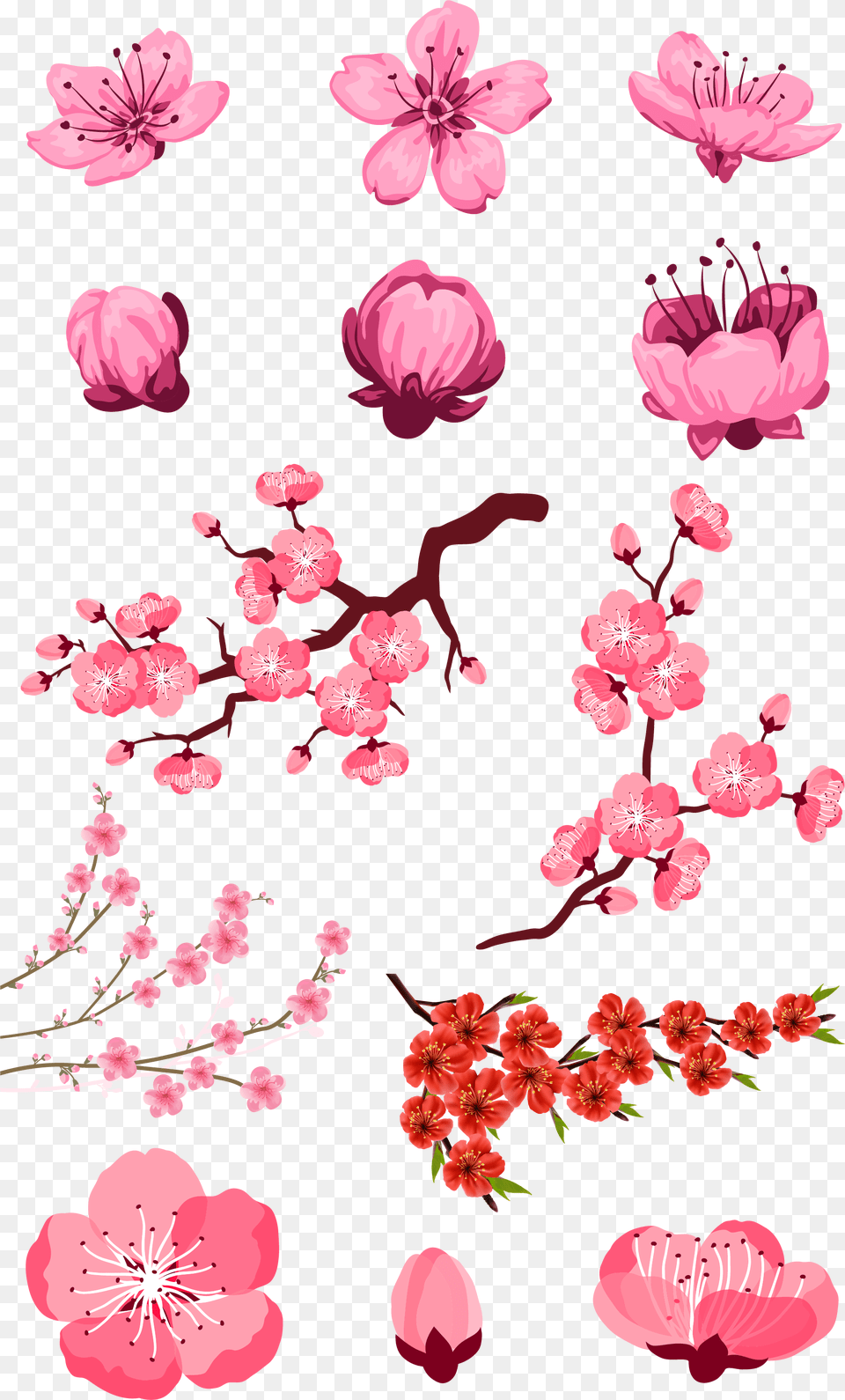 Adobe Download Pink Peach Transprent Free Flores De Rbol De Cerezo Dibujos, Flower, Plant, Cherry Blossom Png