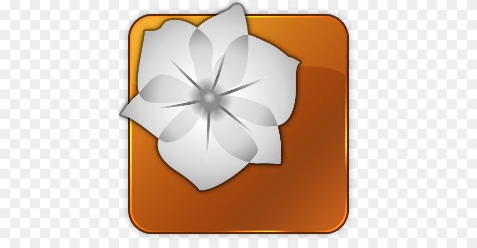 Adobe Icons, Anemone, Flower, Petal, Plant Png