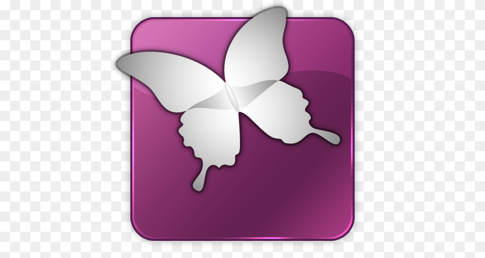Adobe Icons, Purple, Flower, Plant, Petal Png
