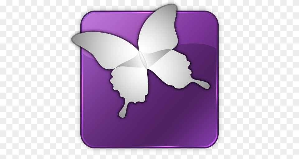 Adobe Icons, Purple, Flower, Plant, Baby Png Image