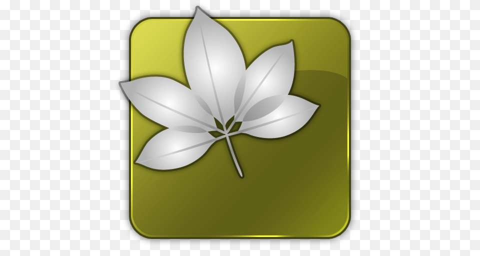 Adobe Icons, Leaf, Plant, Flower, Appliance Png