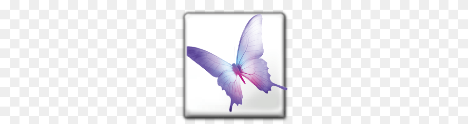 Adobe Icons, Purple, Flower, Plant, Petal Free Png Download