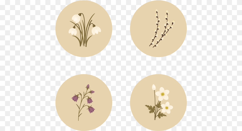 Adobe Illustrator, Art, Floral Design, Graphics, Pattern Free Png