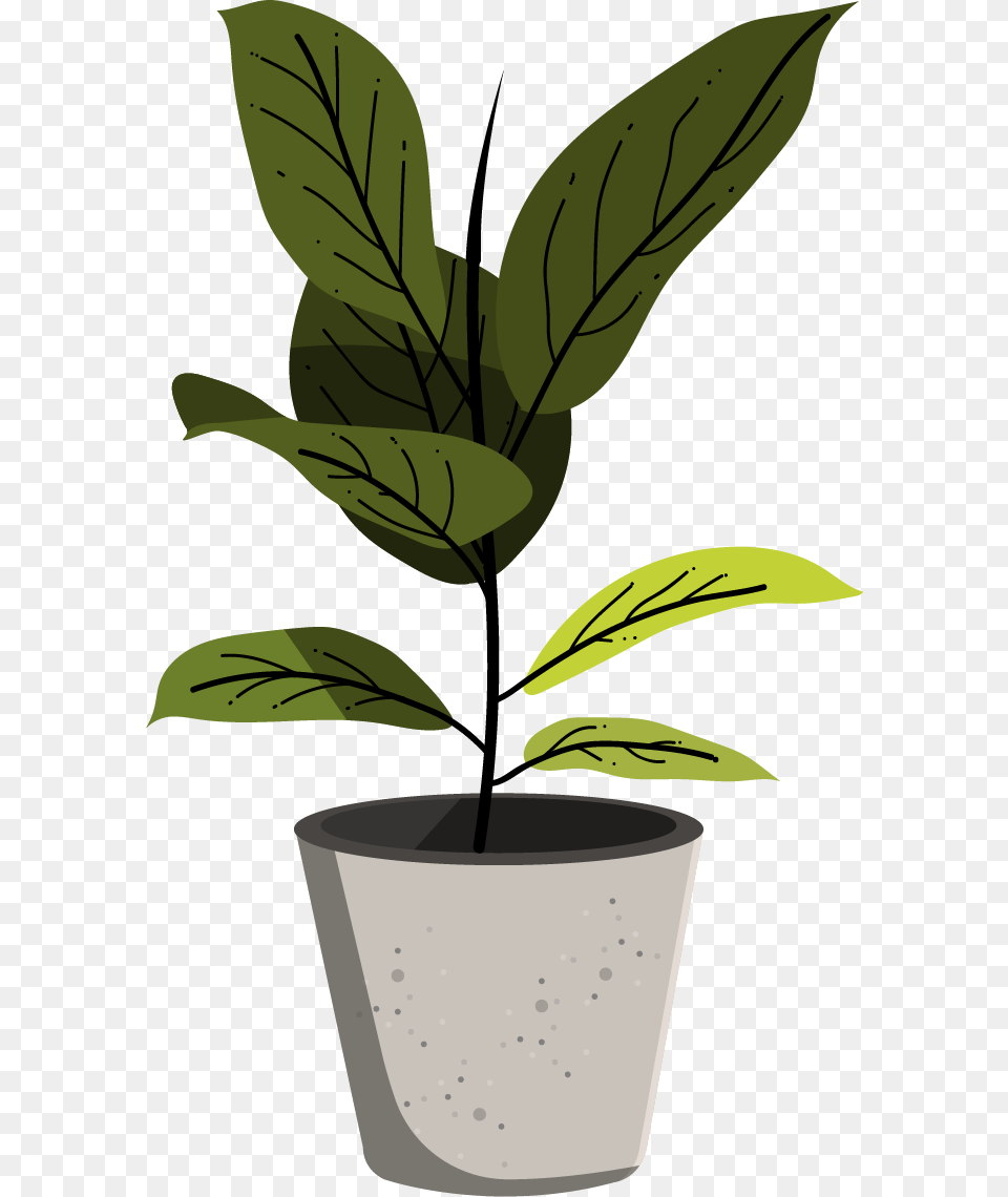 Adobe Illustrator Plants, Leaf, Plant, Potted Plant, Animal Png Image
