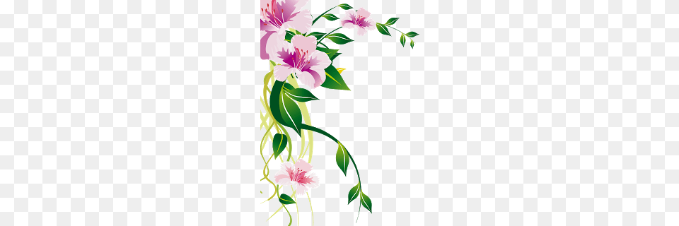 Adobe Photoshop Balaji, Art, Floral Design, Flower, Graphics Png