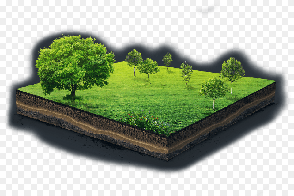 Adobestock Tree, Field, Plant, Outdoors, Nature Png Image