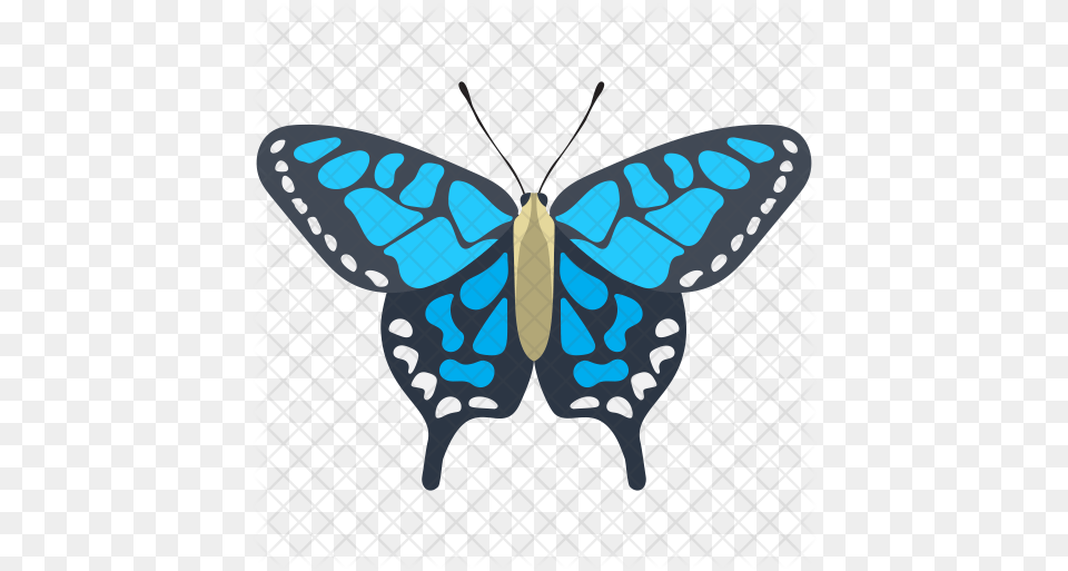 Adonis Blue Butterfly Icon Butterfly, Animal, Insect, Invertebrate Free Png Download