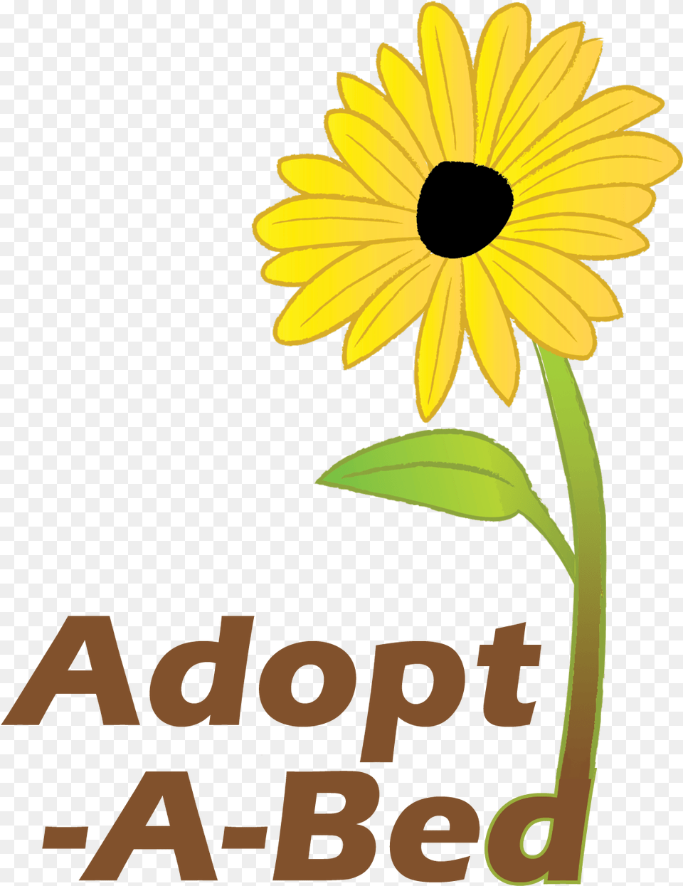 Adopt A Bed Black Eyed Susan, Daisy, Flower, Plant, Sunflower Free Transparent Png