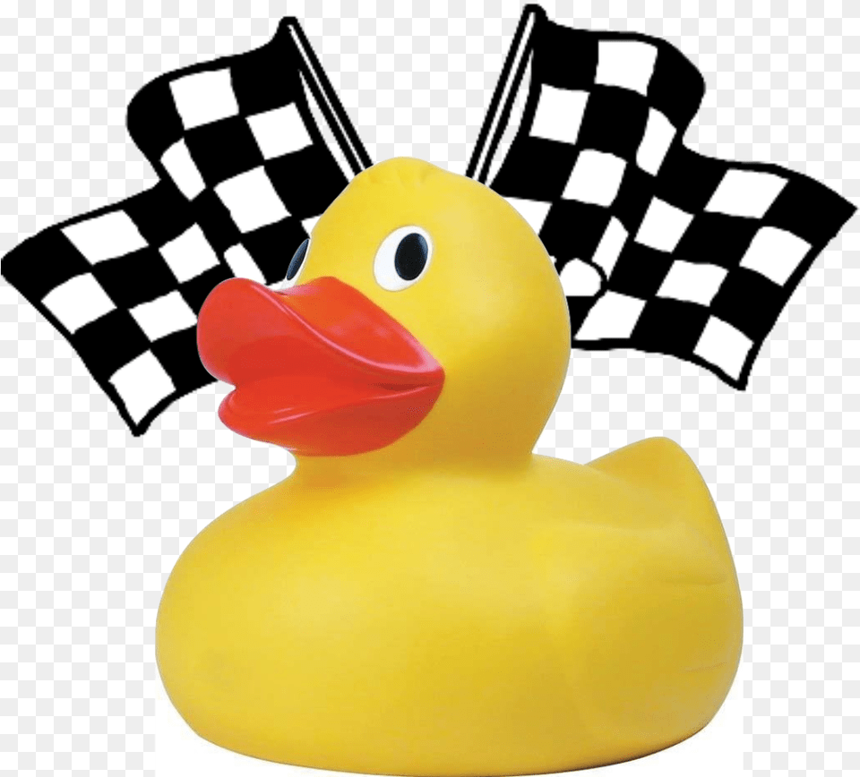 Adopt A Duck For The Family Center Ducks Checkered Flag Black And White, Animal, Beak, Bird Png