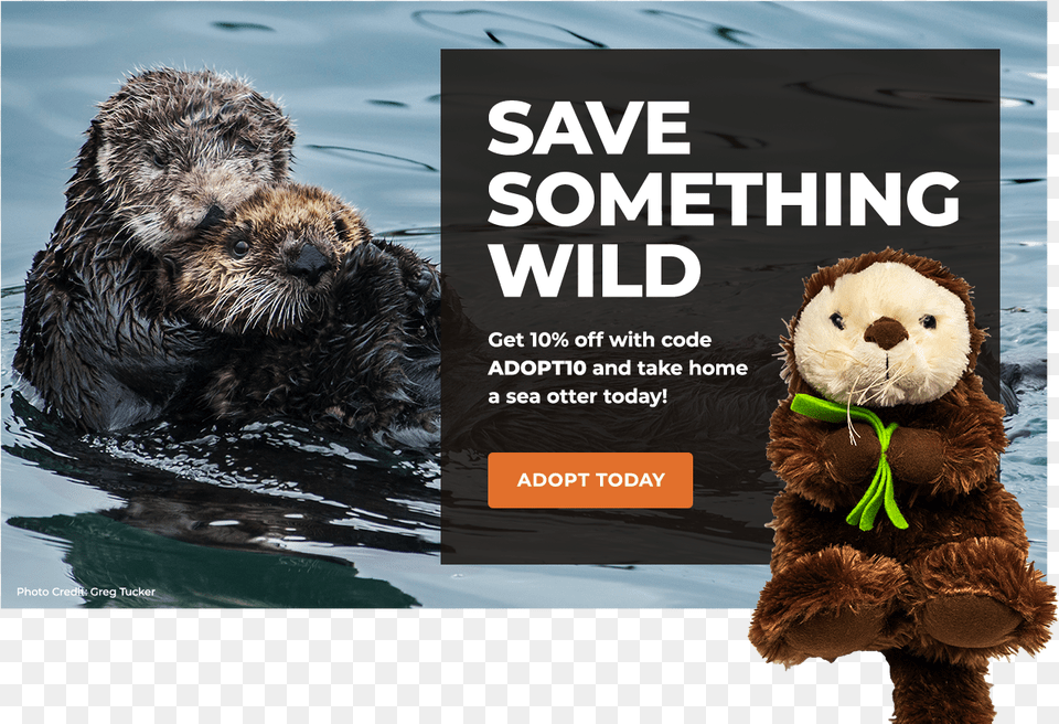 Adopt A Sea Otter Snowy Owl Owls Habitat, Animal, Teddy Bear, Toy, Wildlife Free Transparent Png